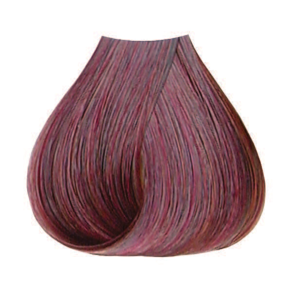 5MV Mah Violet Chnt