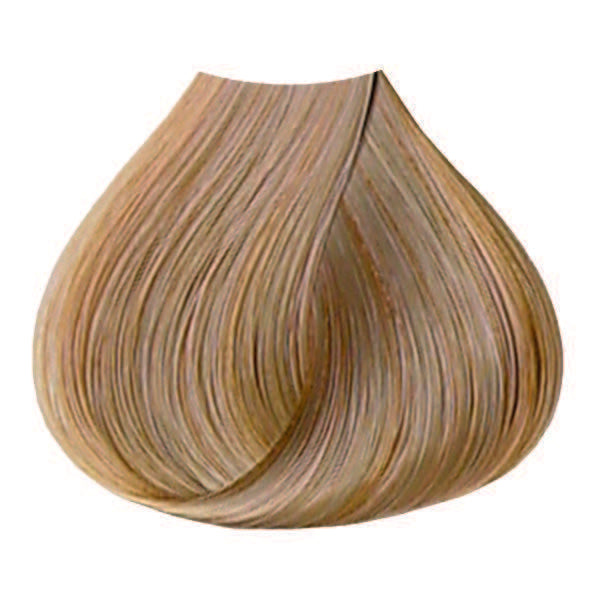 6B Dk Beige