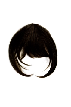 CLIP-IN BANG
