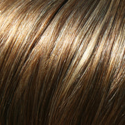 EasiHair - easiXtend Professional 12"