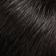 EasiHair - easiXtend Professional 12"
