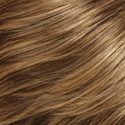 EasiHair - easiXtend Professional 12"