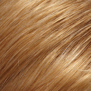 EasiHair - easiXtend Professional 12"