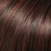 EasiHair - easiXtend Professional 12"