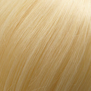 EasiHair - easiXtend Professional 12"