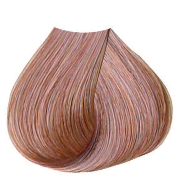 6G Dark Bn